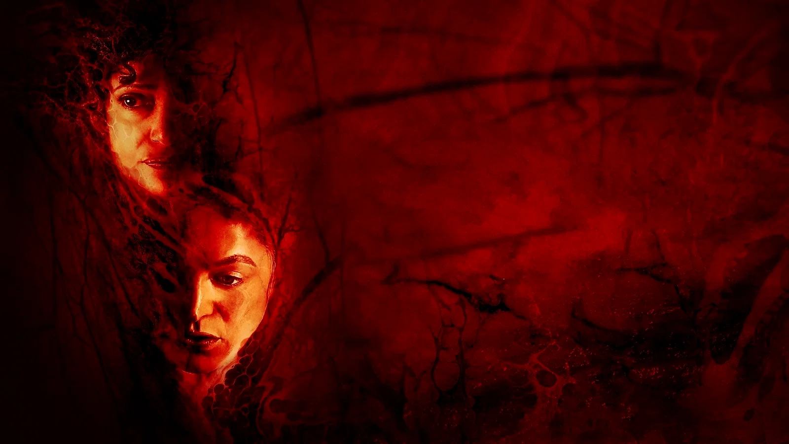 Photo du film : Birth/Rebirth