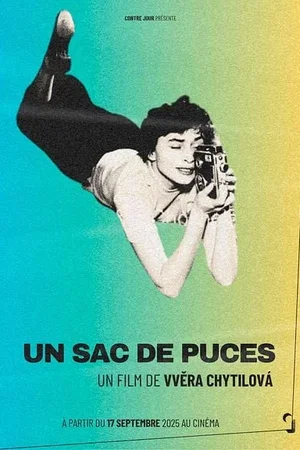 Photo 2 du film : Un sac de puces