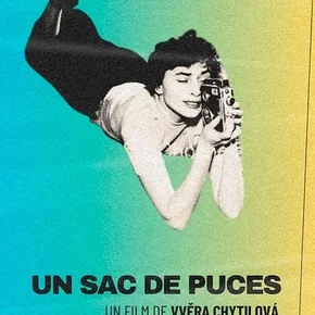 Photo du film : Un sac de puces