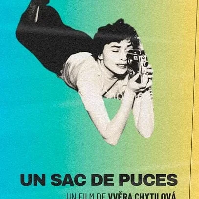 Miniature photo du film : Un sac de puces