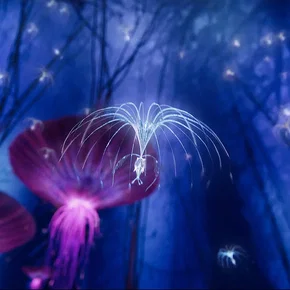 Photo du film : Avatar: Creating the World of Pandora