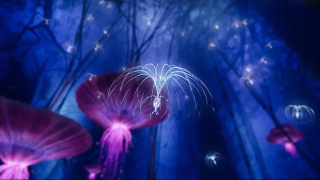 Photo 2 du film : Avatar: Creating the World of Pandora