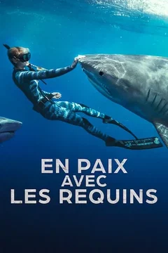Affiche du film En paix avec les requins