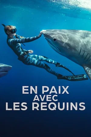 Affiche du film : En paix avec les requins