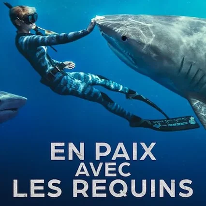 Miniature photo du film : En paix avec les requins