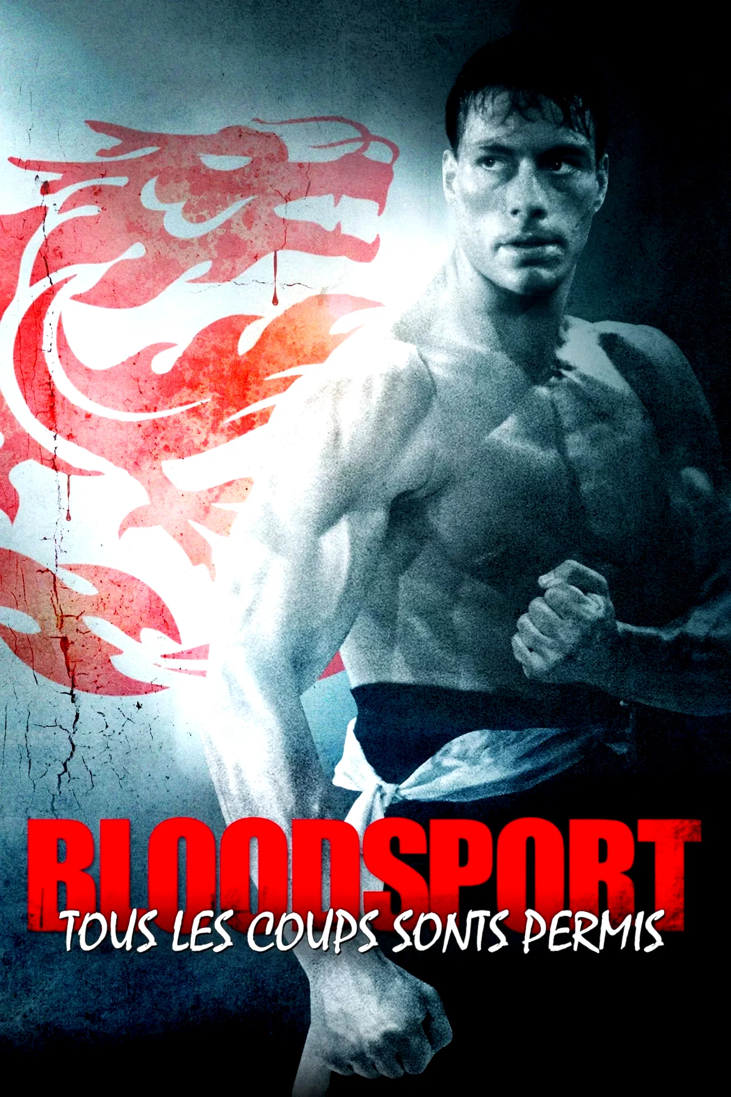 Affiche du film : Bloodsport, tous les coups sont permis