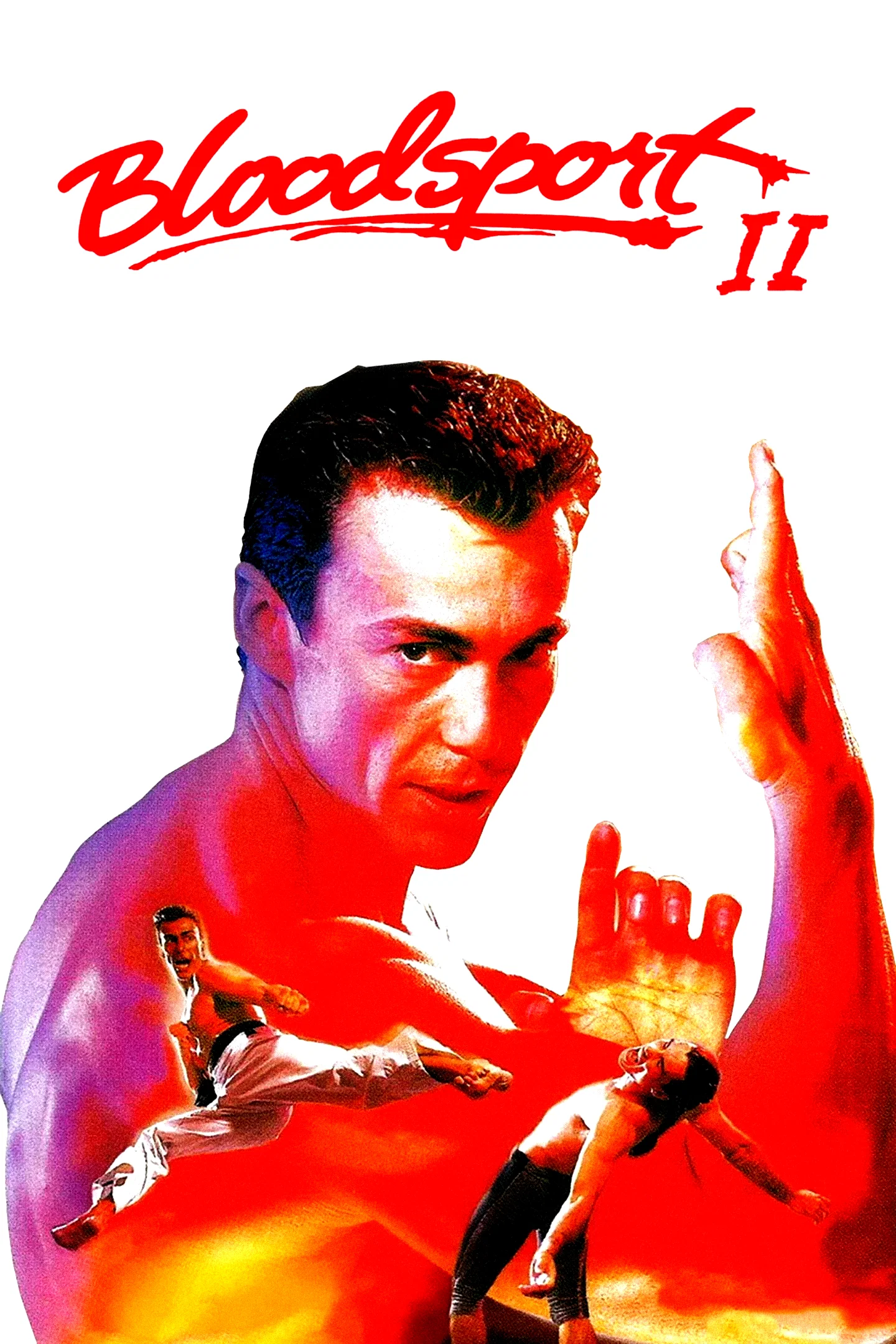 Affiche du film : Bloodsport 2
