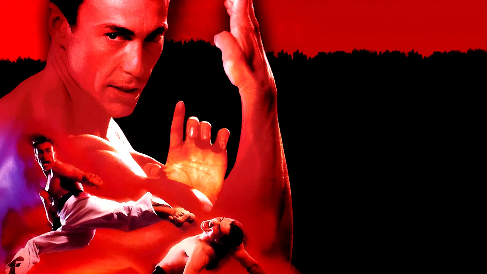 Photo du film : Bloodsport 2