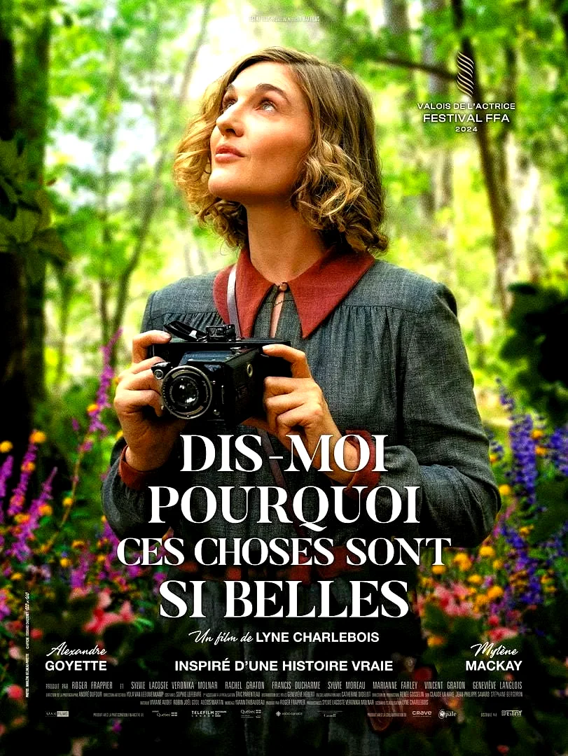 Affiche du film : Dis-moi pourquoi ces choses sont si belles