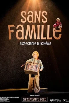 Affiche du film = Sans famille
