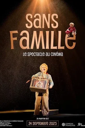 Affiche du film : Sans famille
