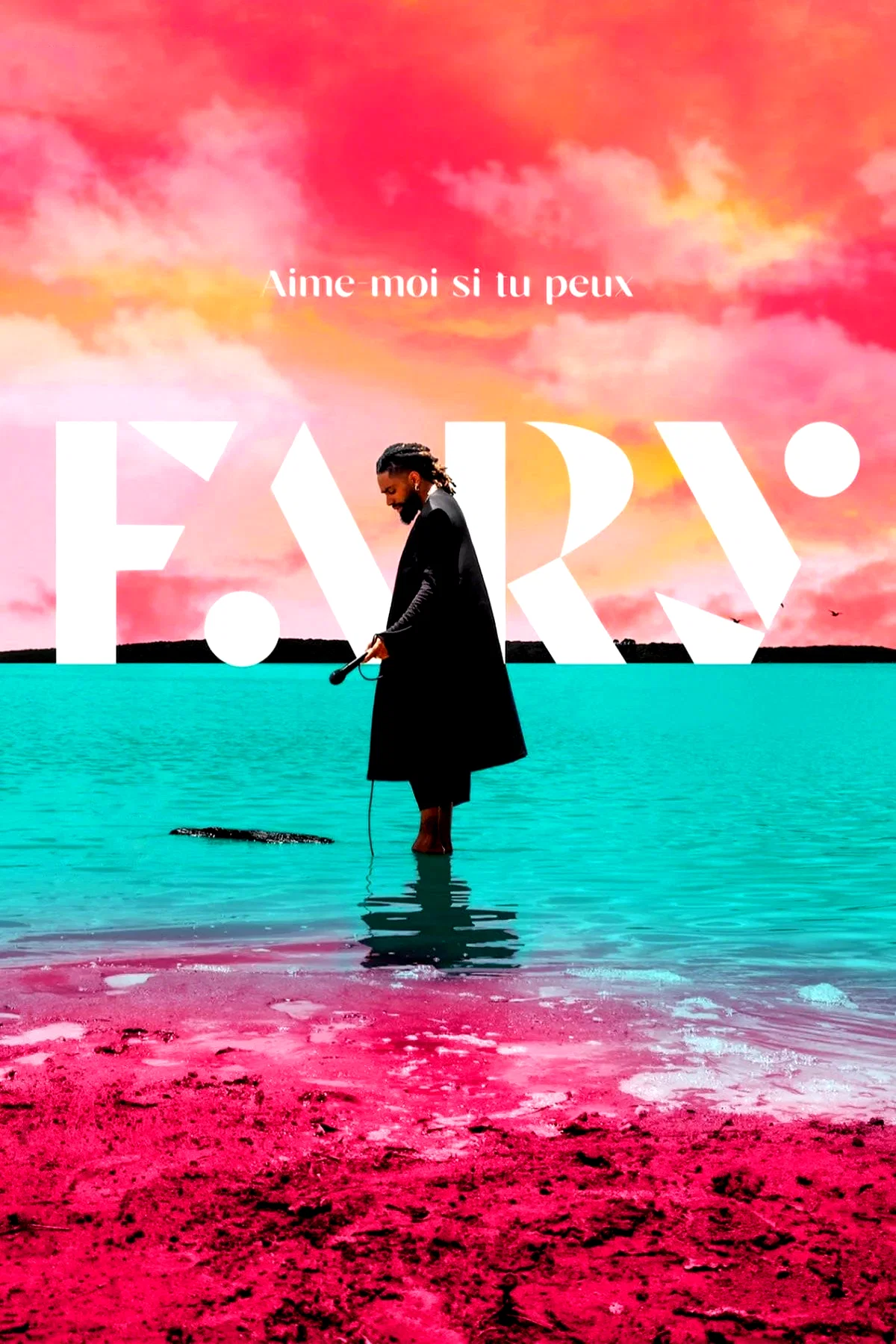 Affiche du film : Fary : Aime-moi si tu peux