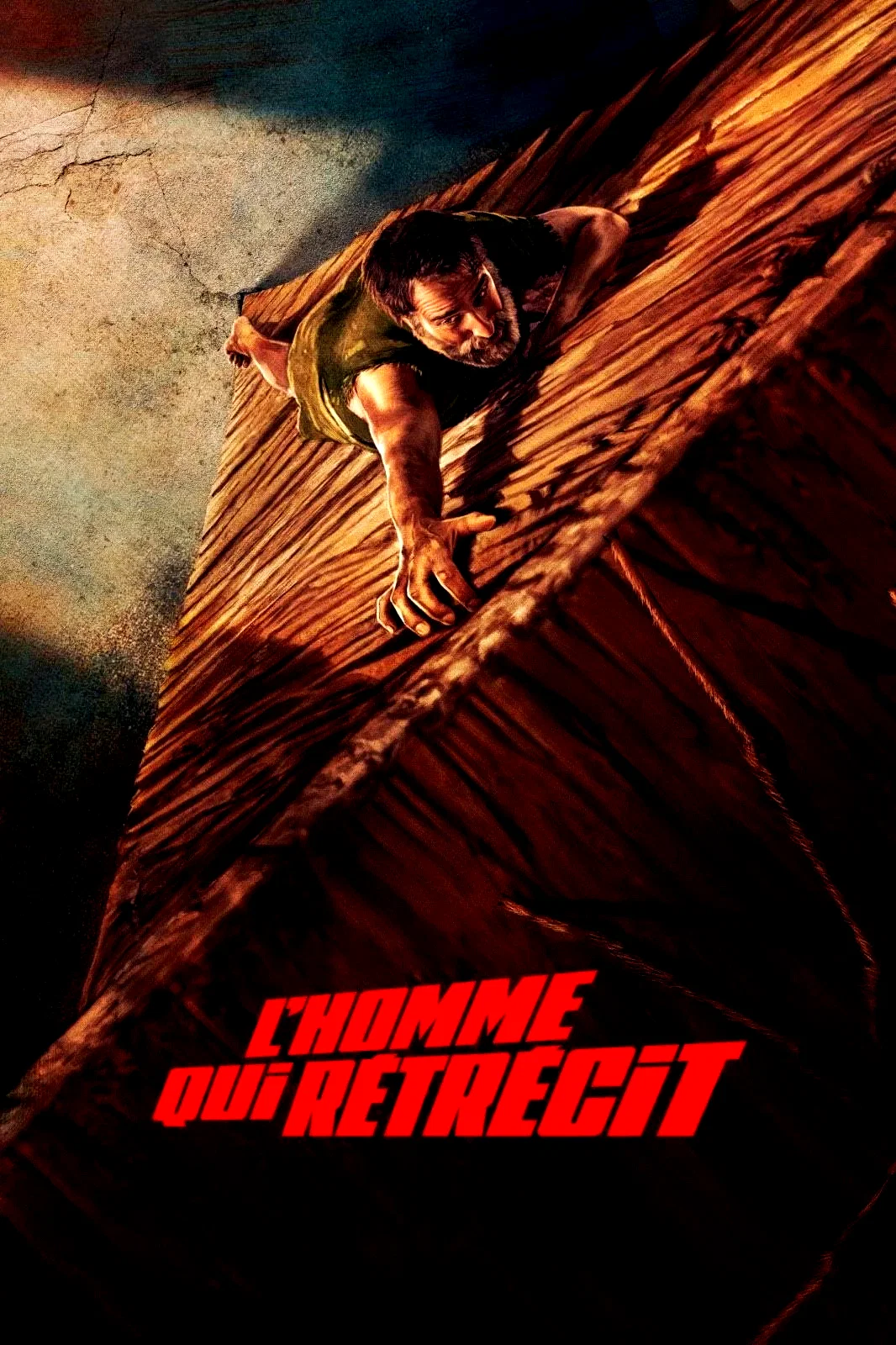 Photo du film : L'Homme qui rétrécit
