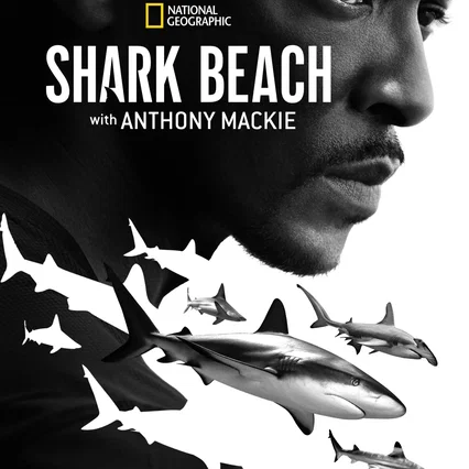 Miniature photo du film : Shark Beach with Anthony Mackie