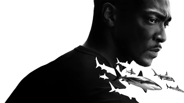 Photo 2 du film : Shark Beach with Anthony Mackie