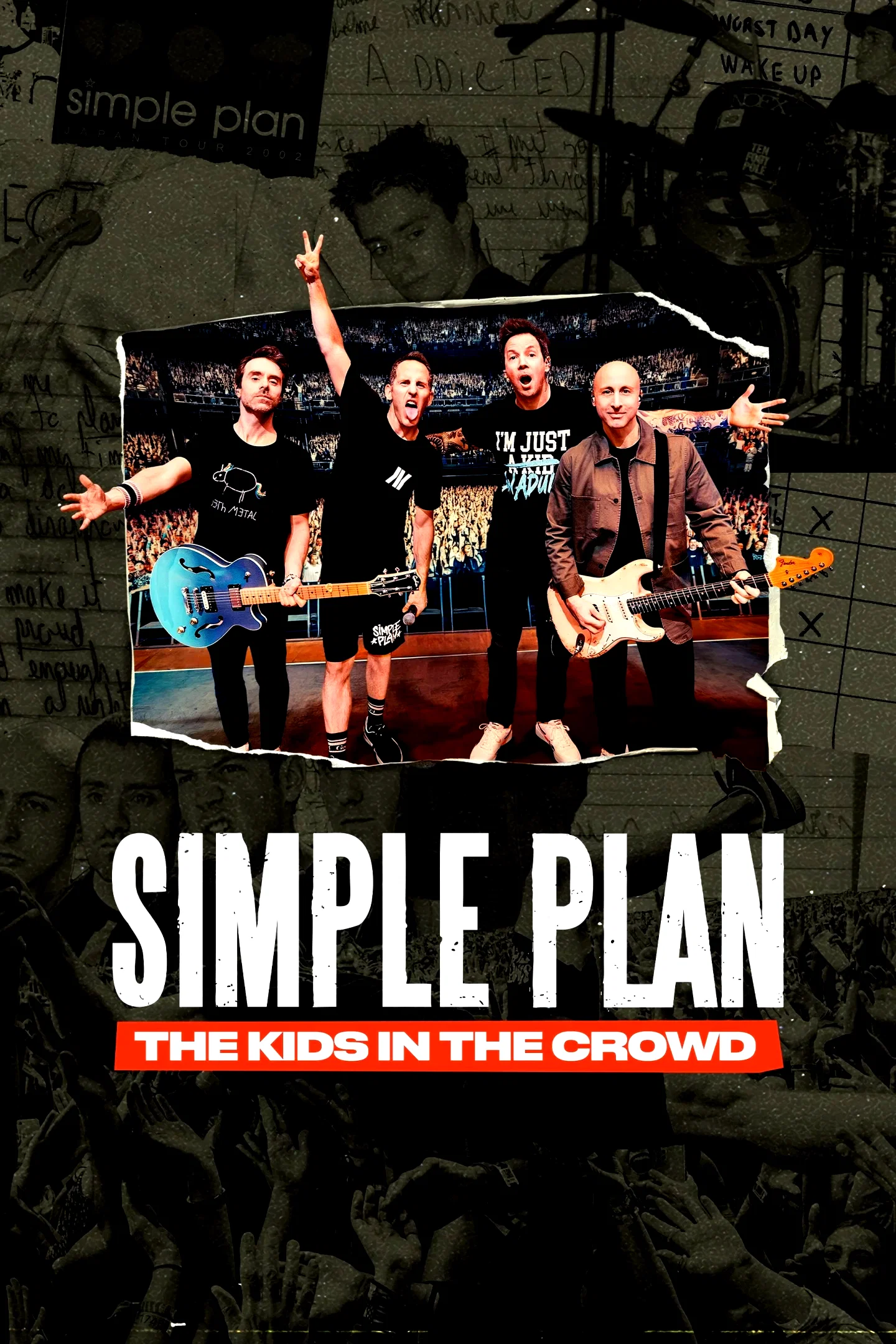 Affiche du film : Simple Plan : des jeunes parmi la foule