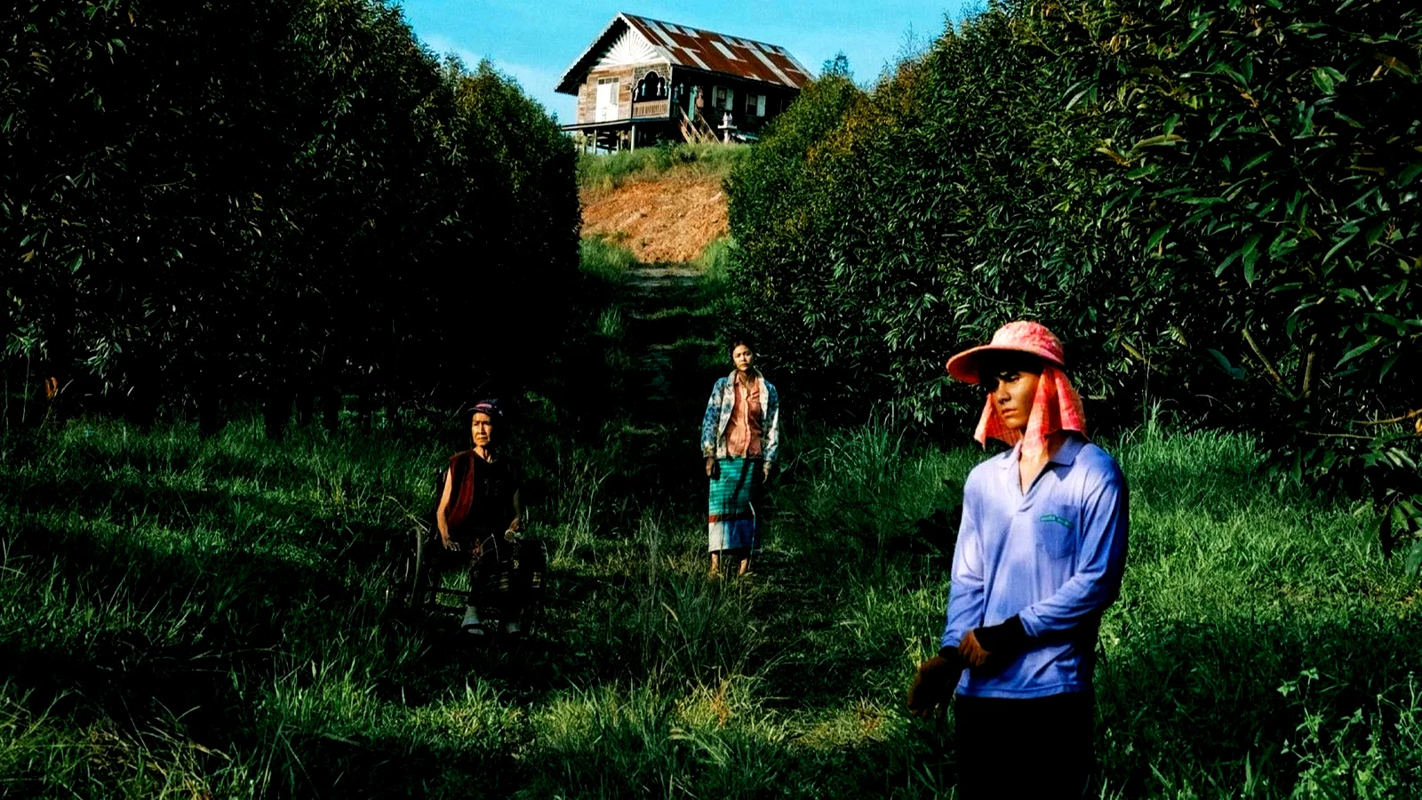 Photo du film : The Paradise of Thorns