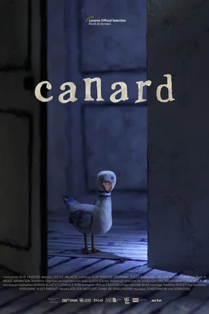 Photo 2 du film : Canard