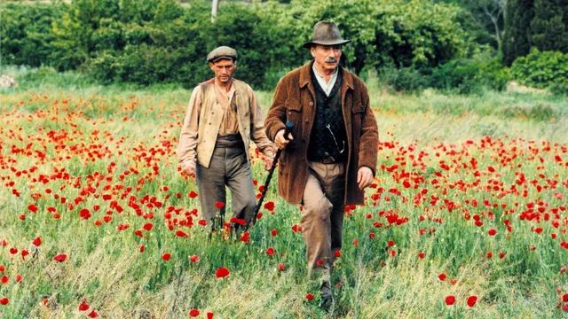 Photo 10 du film : Jean de Florette