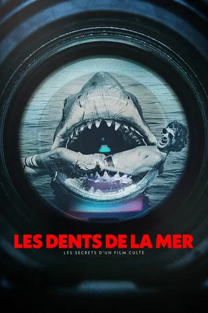 Photo 2 du film : Les Dents de la mer : les secrets d'un film culte