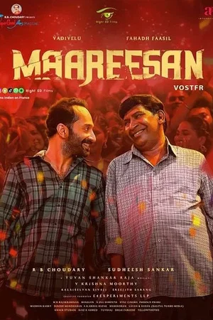 Photo du film : Maareesan