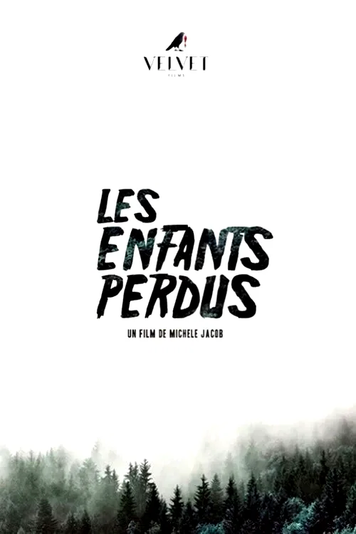 Affiche du film : Les enfants perdus