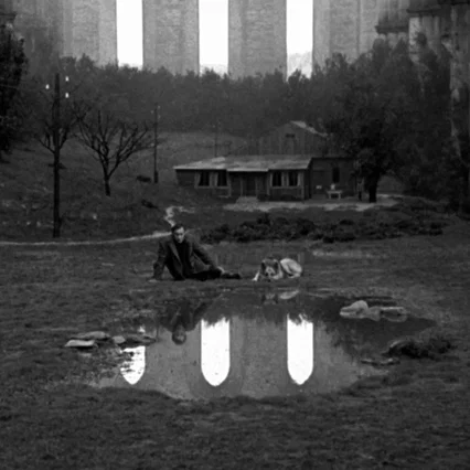 Miniature photo du film : Nostalghia