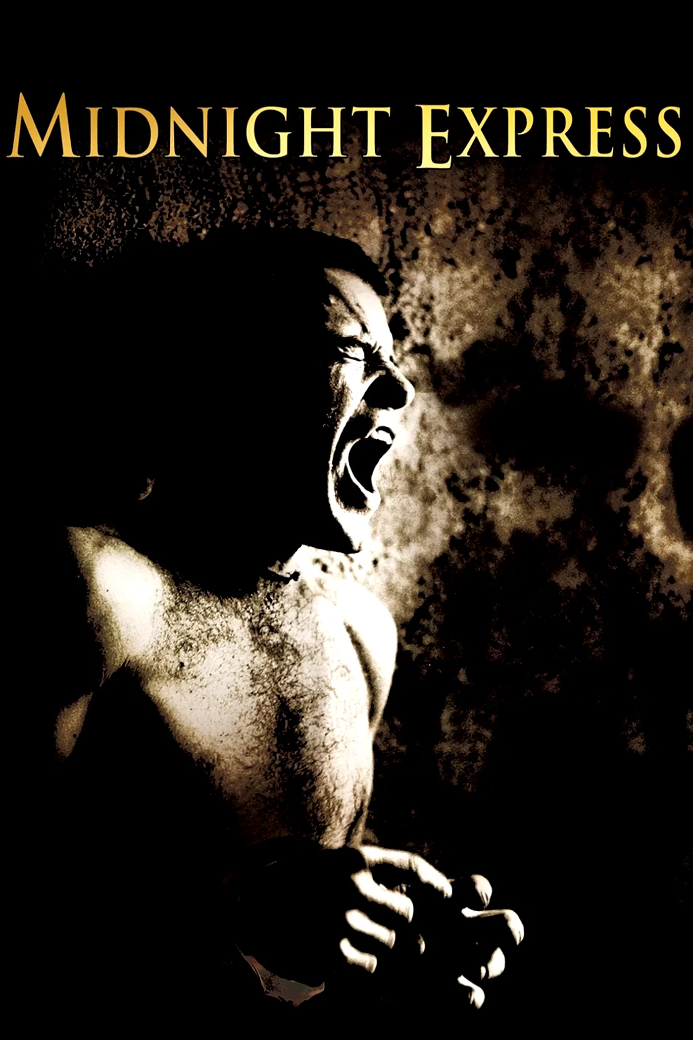 Photo 2 du film : Midnight Express
