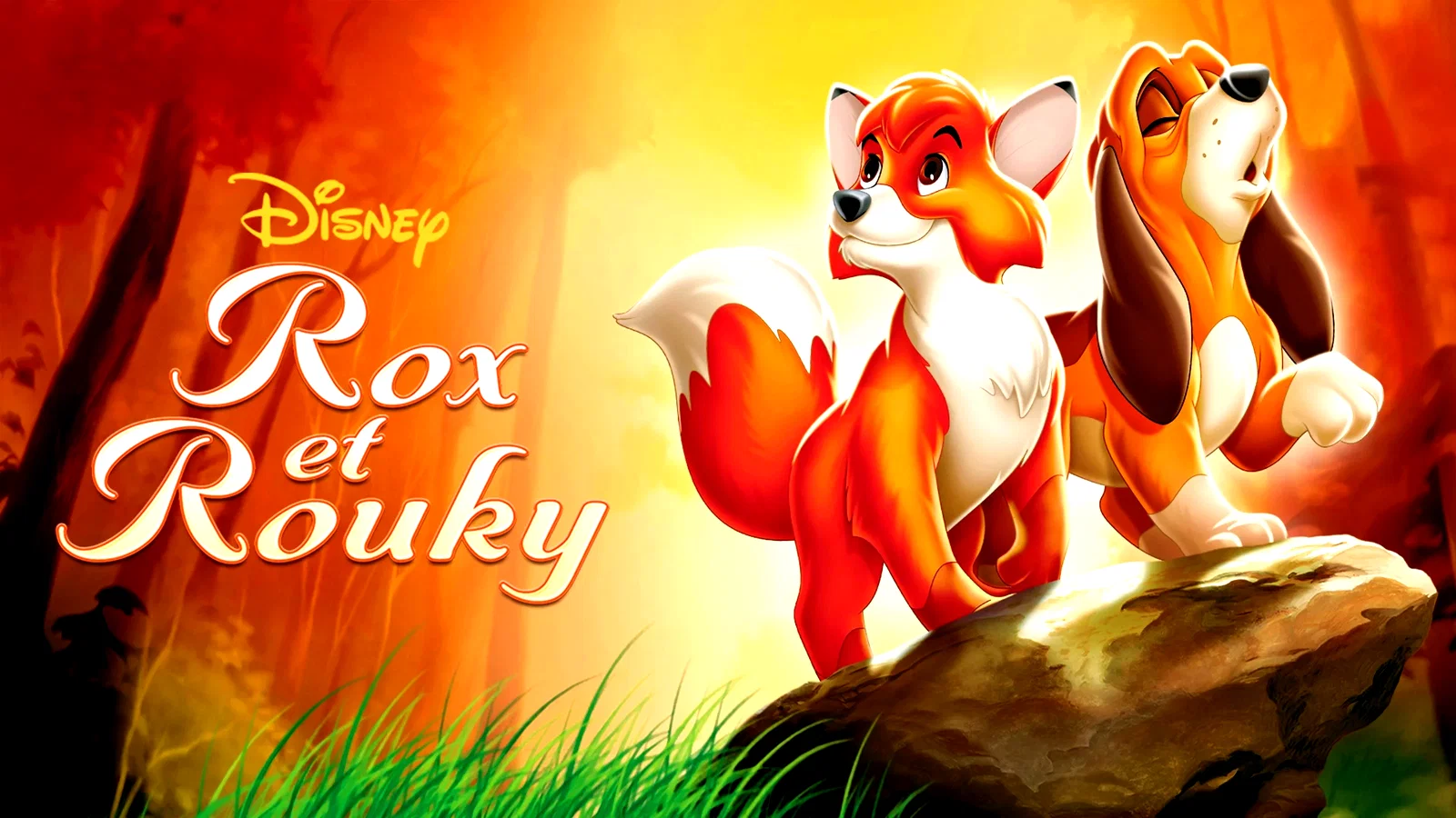 Photo 1 du film : Rox et Rouky