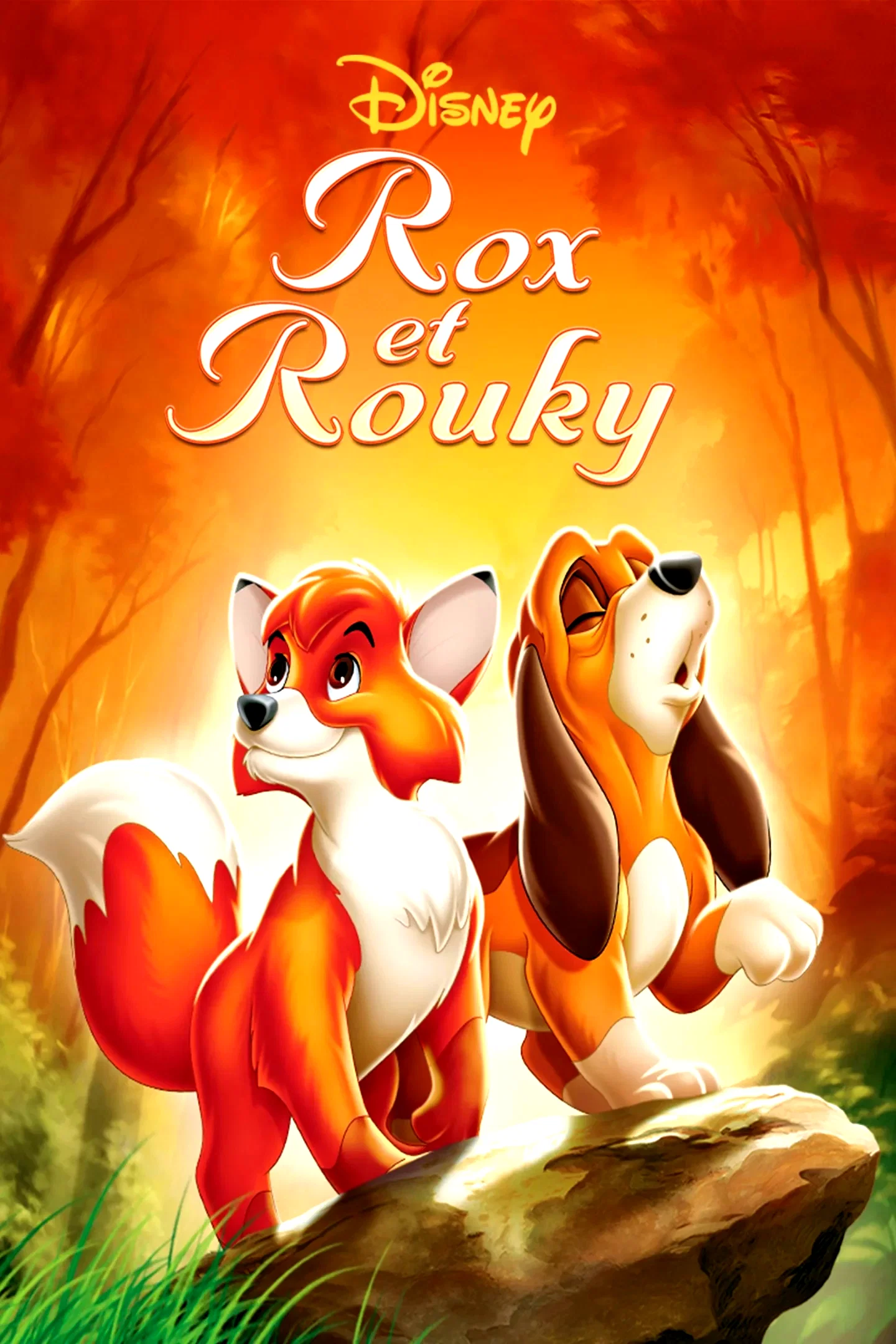 Photo 6 du film : Rox et Rouky