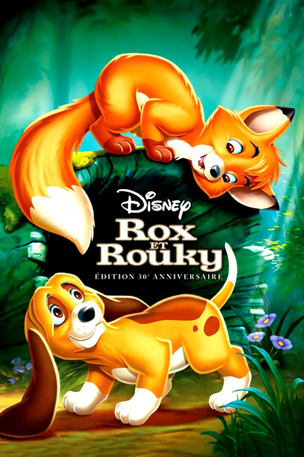 Photo 7 du film : Rox et Rouky