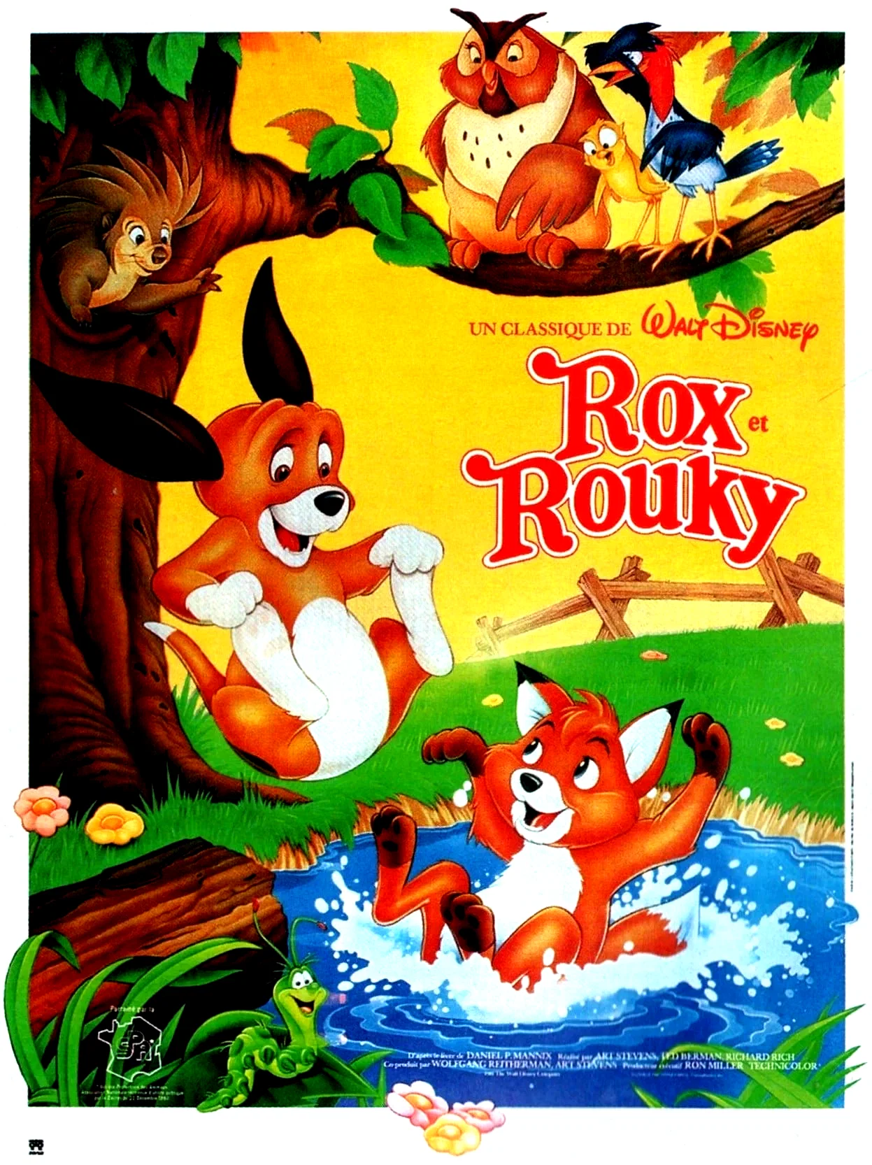 Photo 11 du film : Rox et Rouky