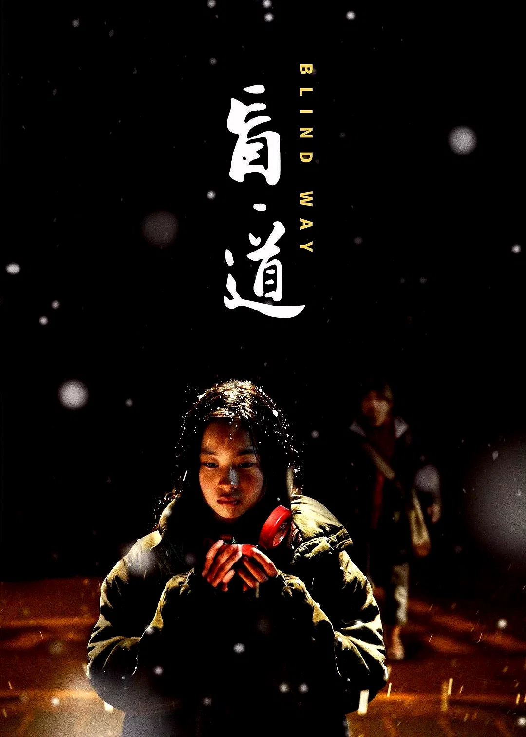 Affiche du film : Blind Way