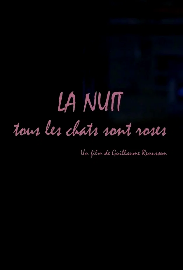 Affiche du film : La Nuit tous les chats sont roses