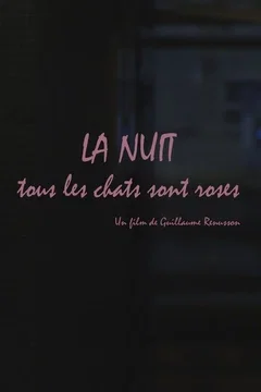 Affiche du film La Nuit tous les chats sont roses