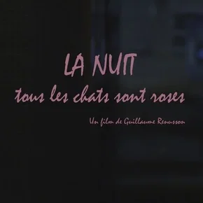 Photo du film : La Nuit tous les chats sont roses