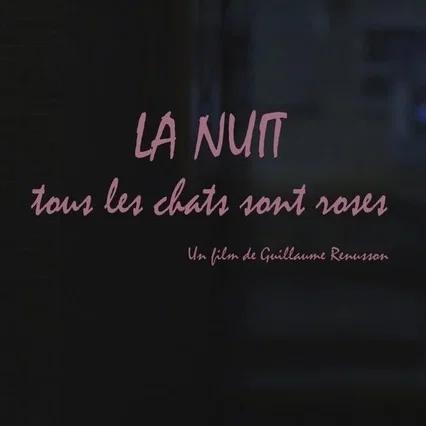 Miniature photo du film : La Nuit tous les chats sont roses