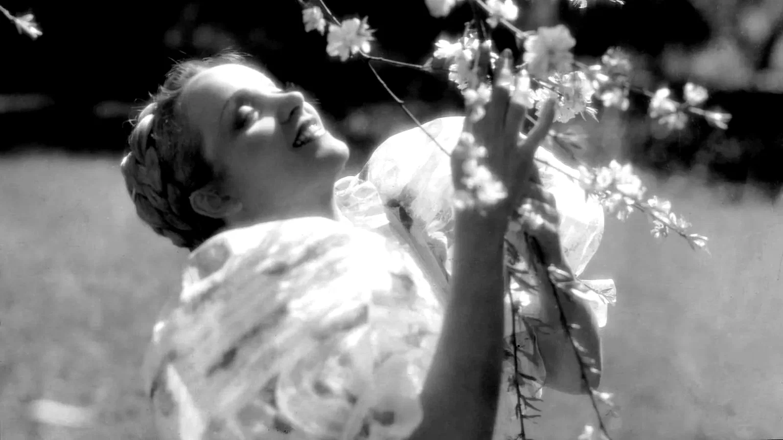 Photo 3 du film : Cantique des cantiques