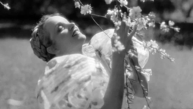 Photo 3 du film : Cantique des cantiques