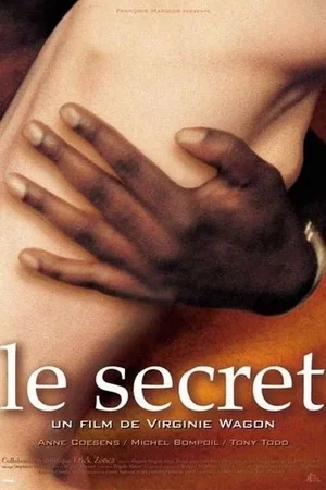 Affiche du film : Le Secret