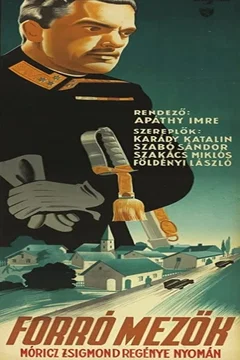 Affiche du film Forró Mezök
