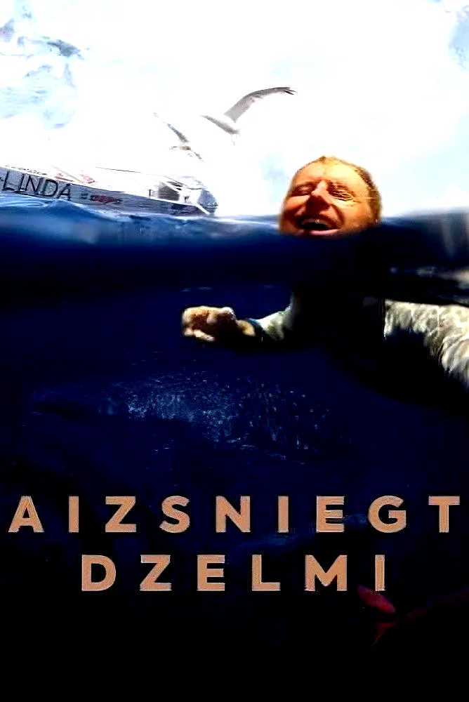 Affiche du film : Aizsniegt dzelmi: vienatnē pāri Klusajam okeānam