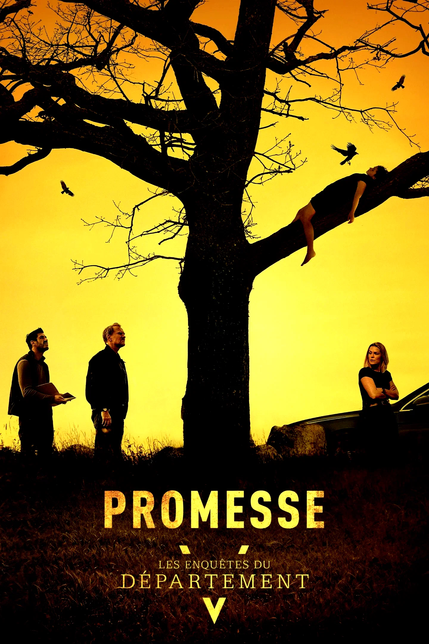 Affiche du film : Les Enquêtes du département V : Promesse