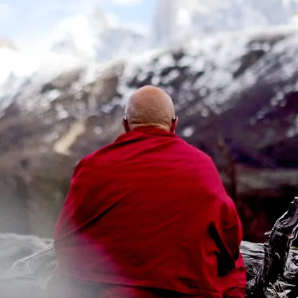 Miniature photo du film : Loin du stress avec Matthieu Ricard