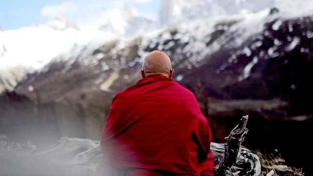 Photo 2 du film : Loin du stress avec Matthieu Ricard