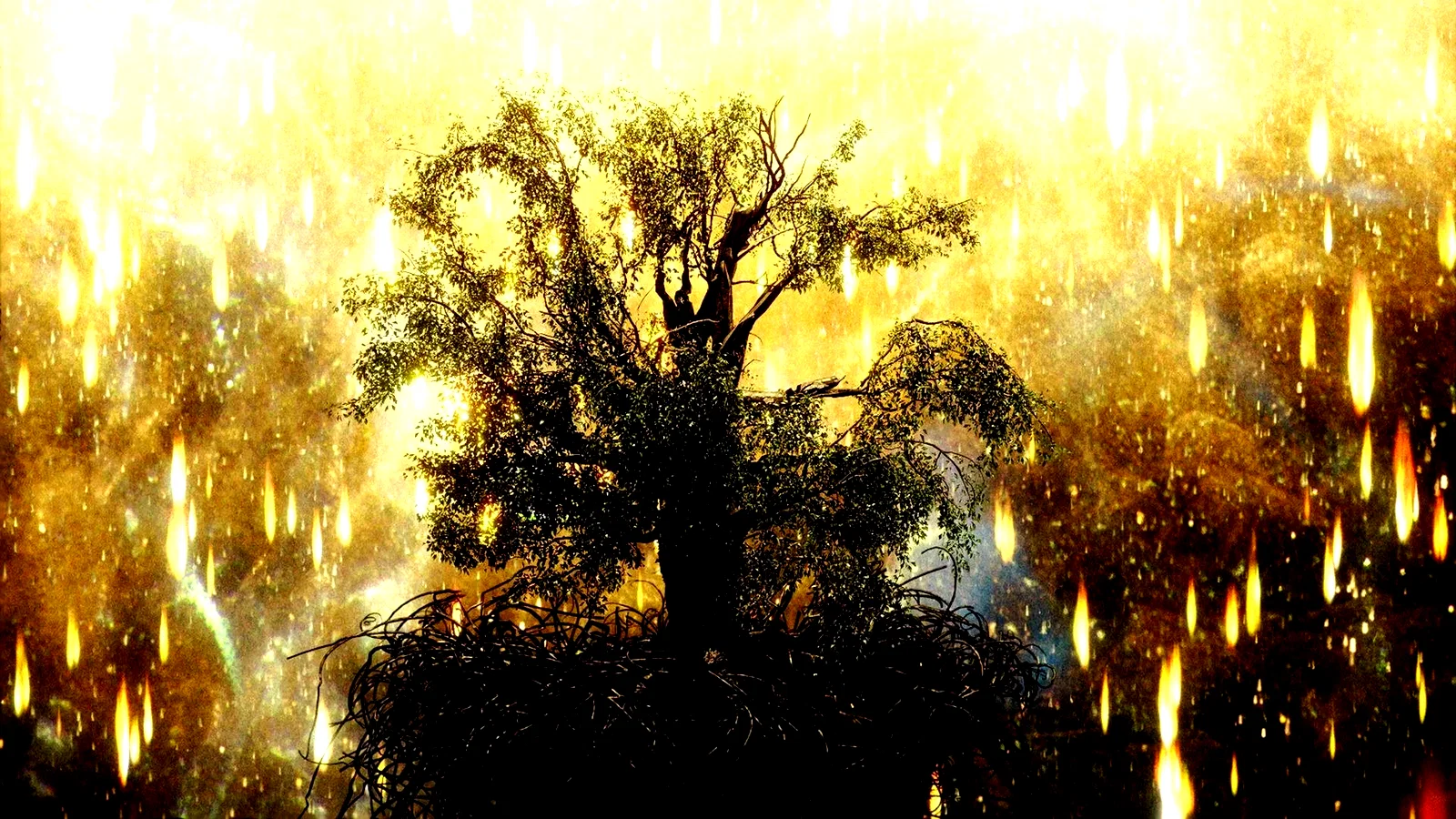 Photo 4 du film : The Fountain