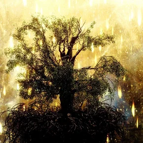 Photo du film : The Fountain