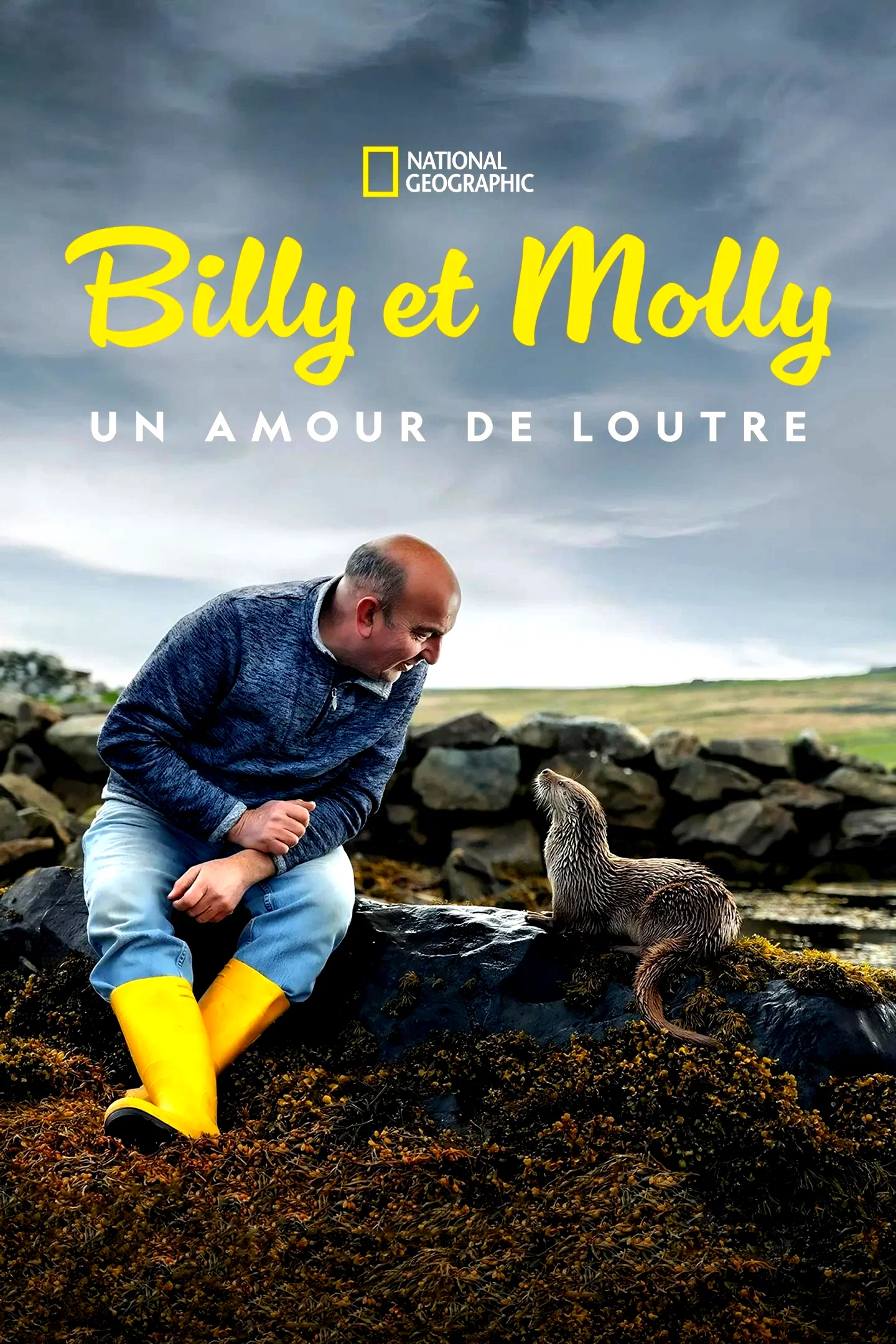 Affiche du film : Billy et Molly : Un amour de loutre