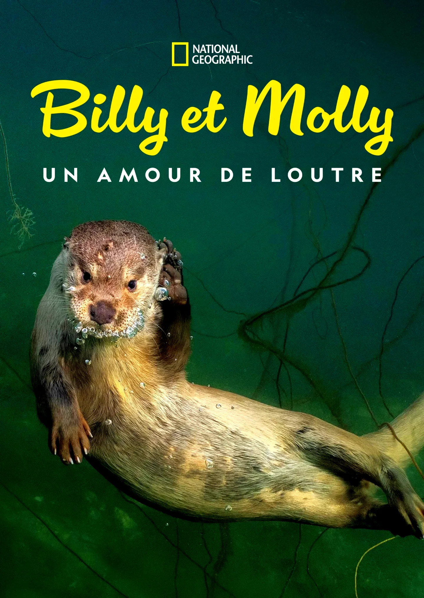 Photo du film : Billy et Molly : Un amour de loutre