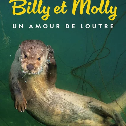 Miniature photo du film : Billy et Molly : Un amour de loutre